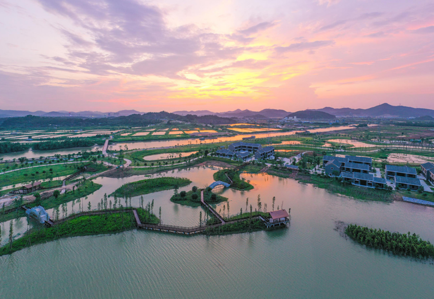 高水平的城市規(guī)劃建設(shè)水平。對標(biāo)最高最優(yōu)最好城市規(guī)劃，推進(jìn)城市綜合管廊、道路橋梁等基礎(chǔ)設(shè)施建設(shè)，城市功能不斷完善，城市景觀不斷美化，促進(jìn)城市集約高效和轉(zhuǎn)型發(fā)展，打造經(jīng)濟發(fā)展新動力。圖為翠亨國家濕地公園。