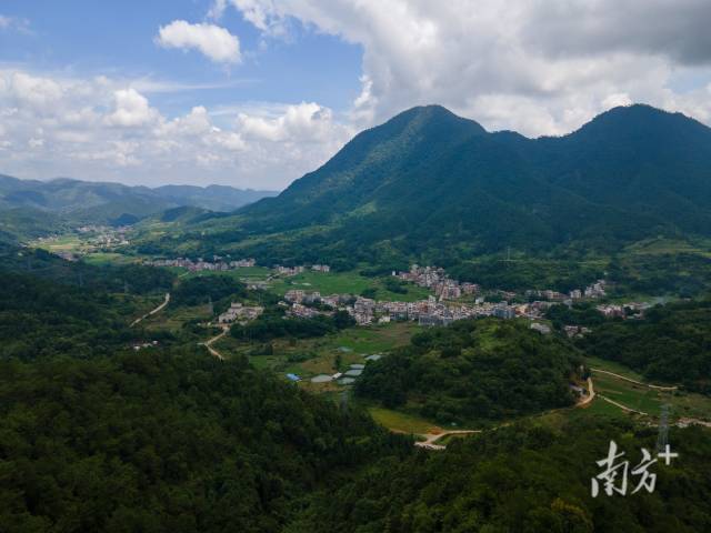 羅定市龍灣鎮(zhèn)萬畝南藥種植示范基地。  