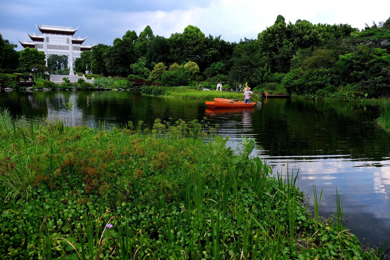粵港澳大灣區(qū)門(mén)戶(hù)網(wǎng)