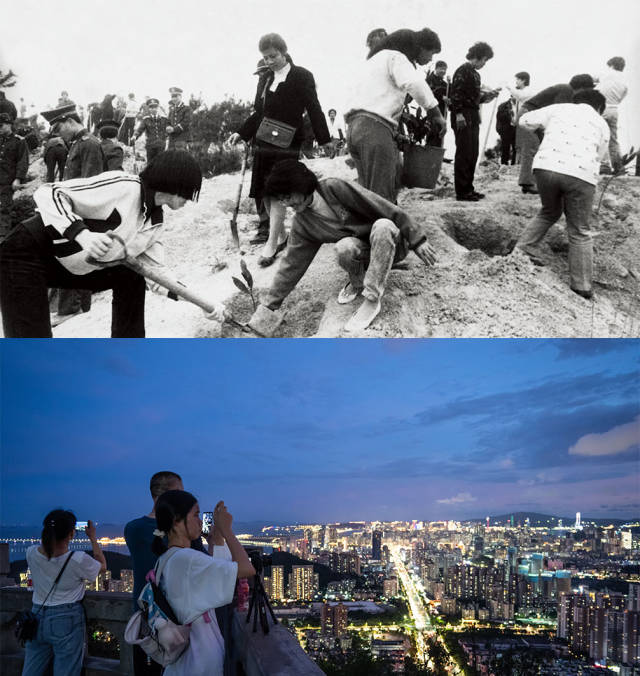 上圖：1985年，全市機關(guān)干部義務在板樟山上植樹；下圖：2020年，傍晚，市民和游客在板樟山上乘涼看風景