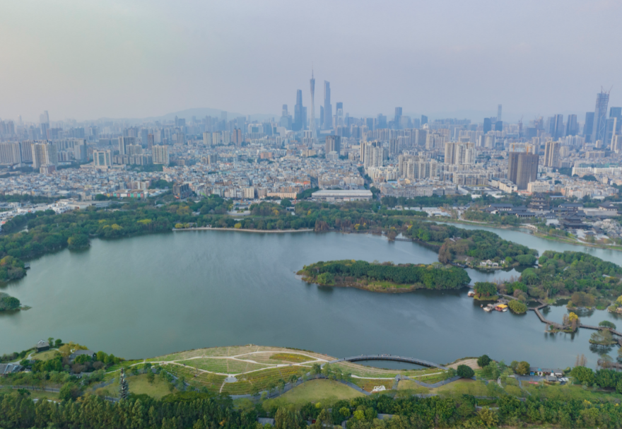 5月22日是國際生物多樣性日。濕地具有涵養(yǎng)水源、調(diào)節(jié)氣候、維持碳循環(huán)等極為重要的生態(tài)功能，是生物多樣性的重要發(fā)源地之一。粵港澳大灣區(qū)擁有多個濕地公園，優(yōu)質(zhì)的生態(tài)環(huán)境為各種生物提供了生存繁衍空間，對維護(hù)生物多樣性起到積極意義。廣州海珠國家濕地公園是全國特大城市中心區(qū)域面積最大的濕地公園，目前濕地率達(dá)79.4%，鳥類種類從72種增加到187種，昆蟲種類從66種增加值738種，魚類從36種增加到64種。圖為廣州海珠濕地公園。