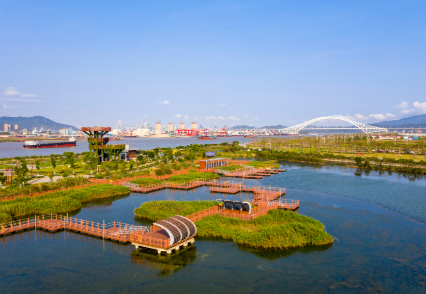 遠(yuǎn)眺芒洲濕地公園，滿眼翠綠，公園四周環(huán)繞一圈花草樹木，中間是水塘和綠洲，一些綠洲之間連接著紅色的棧道和浮橋，不遠(yuǎn)處的洪鶴大橋橫空而過。水塘邊生長著眾多紅樹林植物和大片的蘆葦，許多鳥類在此棲息、繁衍，這是橫琴鳥類的“天堂。圖為珠海橫琴芒洲濕地公園。