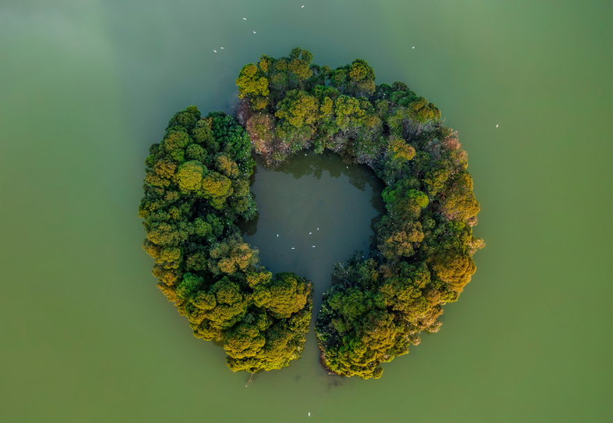 佛山三水云東海國家濕地公園坐落于珠三角腹地，總面積超過400公頃，是佛山市國家森林城市建設(shè)的重點工程，也是佛山市濕地體系中“三江匯流”保育區(qū)的濕地生態(tài)景觀核心和珠三角地區(qū)鳥類遷徙的重要節(jié)點。湖水瀲滟、植被茂盛，月亮湖湖心環(huán)形小島吸引了上千只鷺鳥在此集聚棲息。圖為佛山三水云東海國家濕地公園。