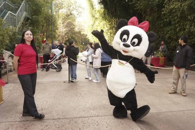 △今年2月4日，在美國(guó)加州圣迭戈動(dòng)物園，一名裝扮成熊貓的工作人員在春節(jié)慶?；顒?dòng)上歡迎游客。