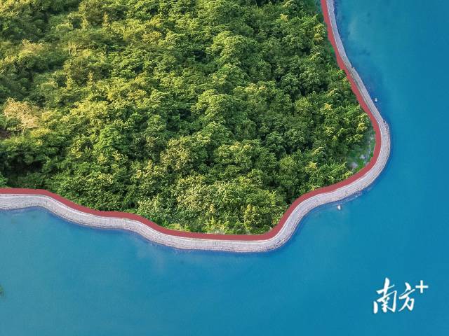小桂綠道。大亞灣開發(fā)區(qū)供圖