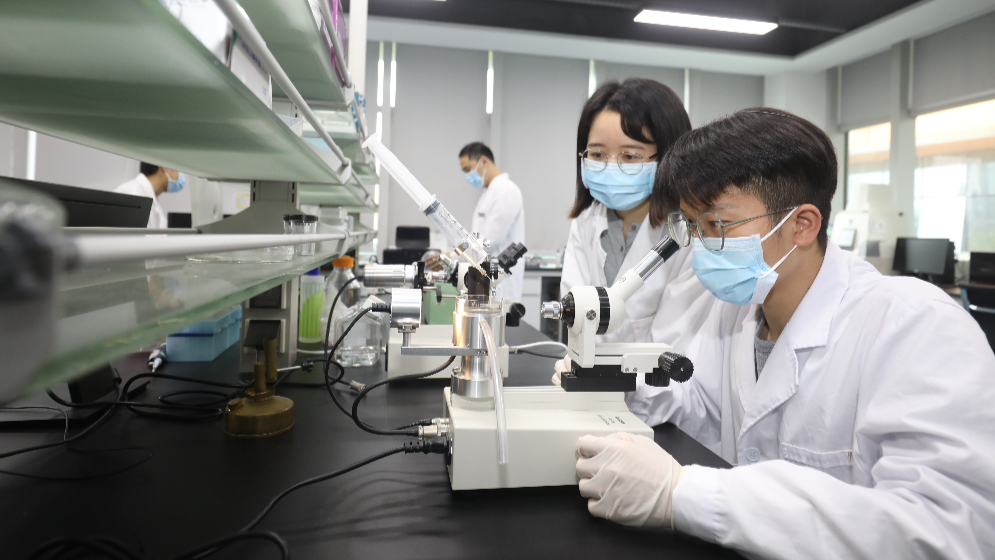最高1億元項目資助、保障子女教育！橫琴出臺人才新政
