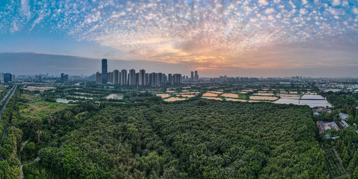 粵港澳大灣區(qū)門(mén)戶(hù)網(wǎng)
