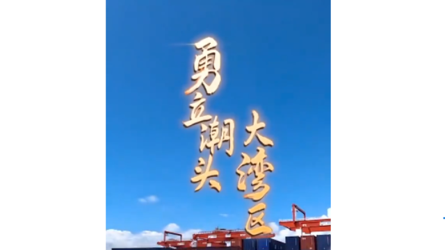 勇立潮頭大灣區(qū)丨震撼！看廣州南沙港智慧碼頭“隔空取物”
