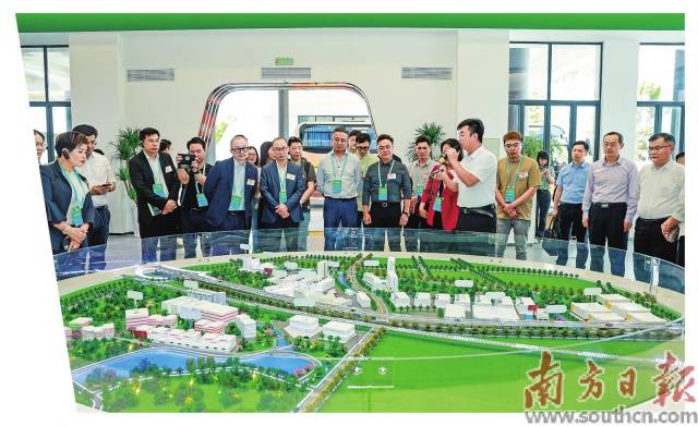 港商在大灣區(qū)農(nóng)產(chǎn)品基地考察基地建設發(fā)展情況。受訪者供圖