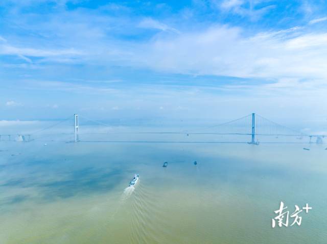 包攬多項世界之最的深中大橋。