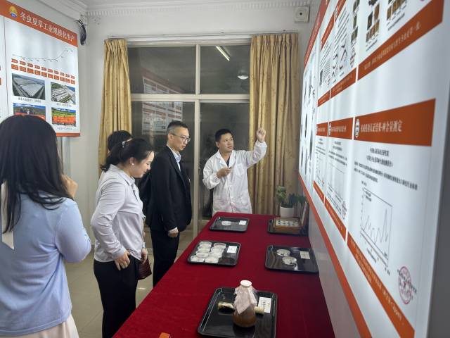 向16家知名企業(yè)推廣琴澳營商優(yōu)勢，促進區(qū)域產(chǎn)業(yè)協(xié)作發(fā)展。
