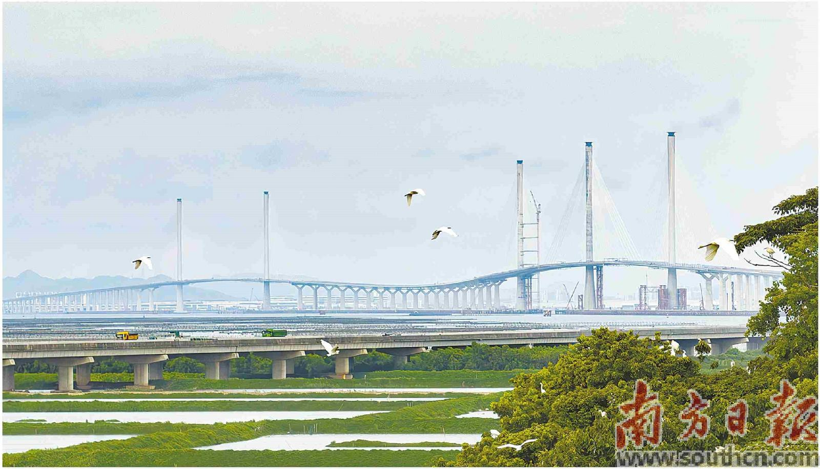 黃茅海跨海通道預(yù)計(jì)11月底驗(yàn)收.png