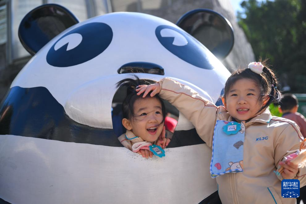 11月29日在澳門石排灣郊野公園大熊貓館外拍攝的澳門幼兒園小朋友。