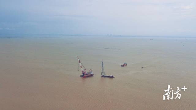 2020年6月6日，在江門臺山一側(cè)的黃茅海海域，黃茅?？绾Ｍǖ来蛳鹿こ滔刃惺┕?biāo)段的第一根鋼管樁，正式拉開項目建設(shè)序幕，比原計劃時間提前半年。
