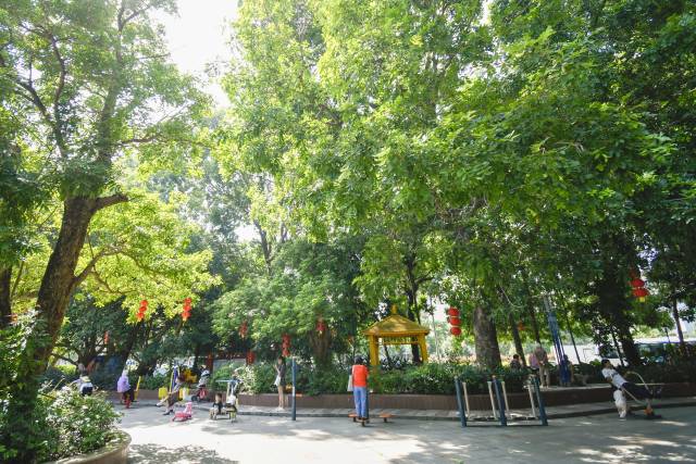 肇慶端州區(qū)人均公園面積位居全省前列。黃詠欣 攝 肇慶端州區(qū)人均公園面積位居全省前列。黃詠欣 攝