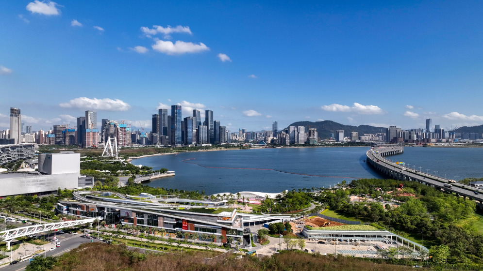 沙特政企代表團訪深圳前海，這些合作要搞大！