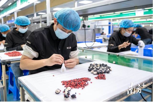 東莞企業(yè)沃工場正馬不停蹄地制作《哪吒2》衍生品。