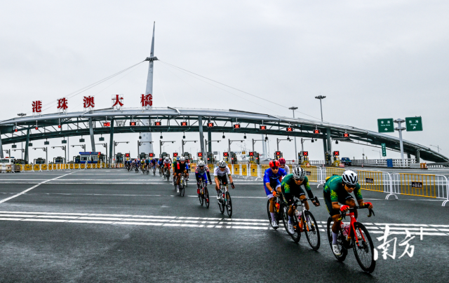 2024粵港澳公路自行車賽，選手們途經(jīng)港珠澳大橋。南方+記者 錢文攀 攝