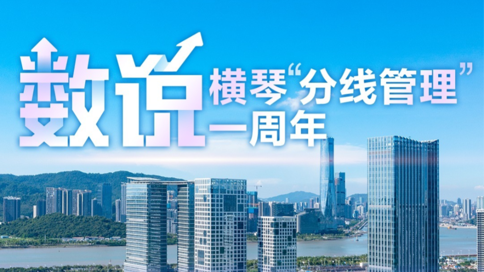 “分線管理”一周年，橫琴變了什么？