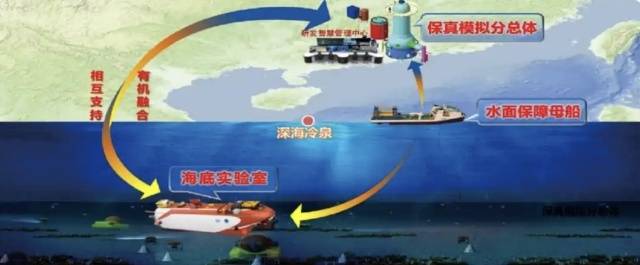 冷泉生態(tài)系統(tǒng)研究裝置三個分總體布局。資料圖片