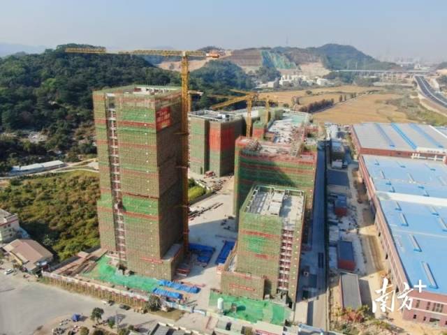 位于中山市南朗街道華照村的西灣清潔能源產(chǎn)業(yè)園。梁詩婷 攝