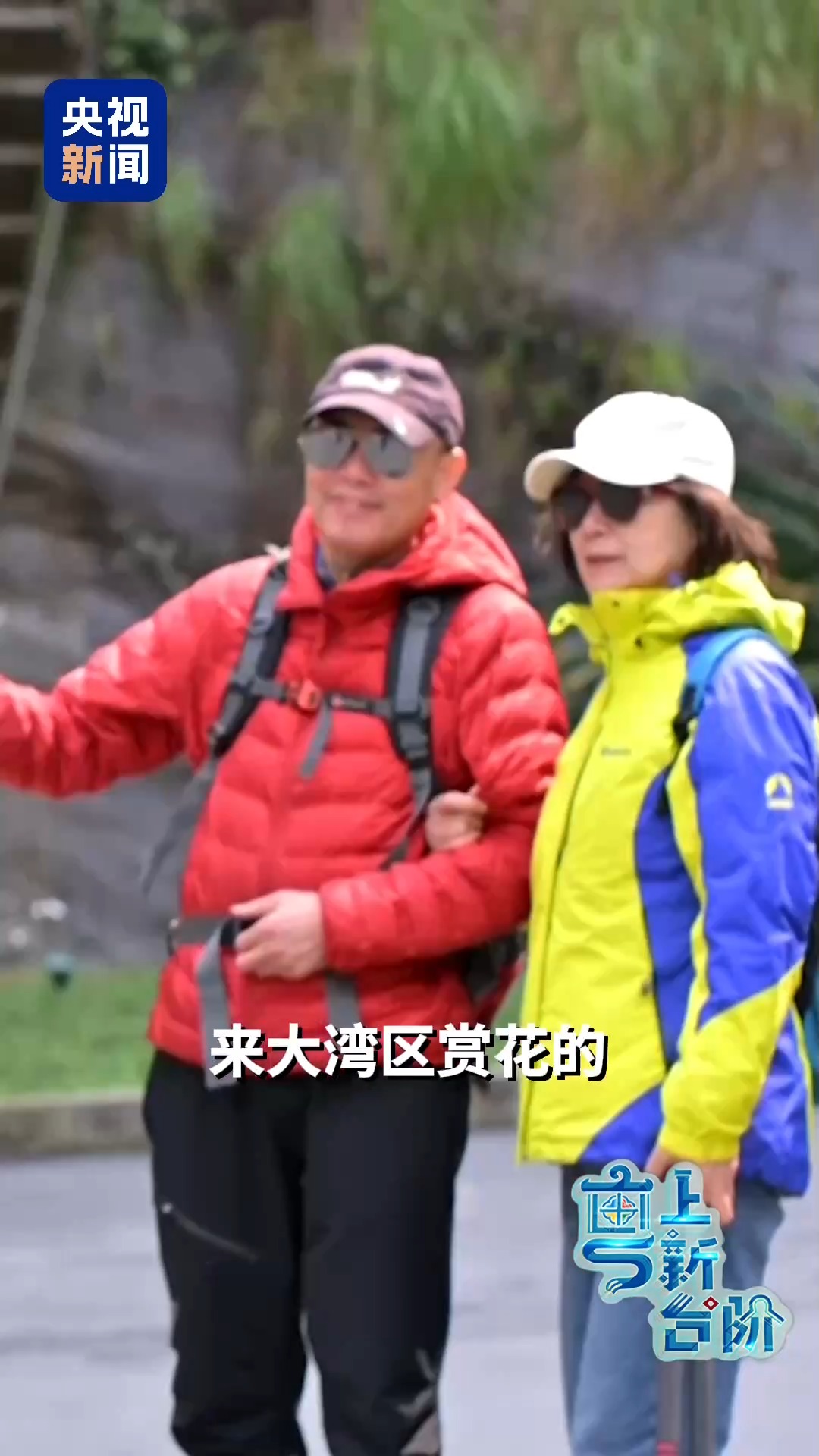 一趟由北向南開行的列車同時(shí)“驚動(dòng)”了京津冀和粵港澳大灣區(qū)兩大經(jīng)濟(jì)圈。