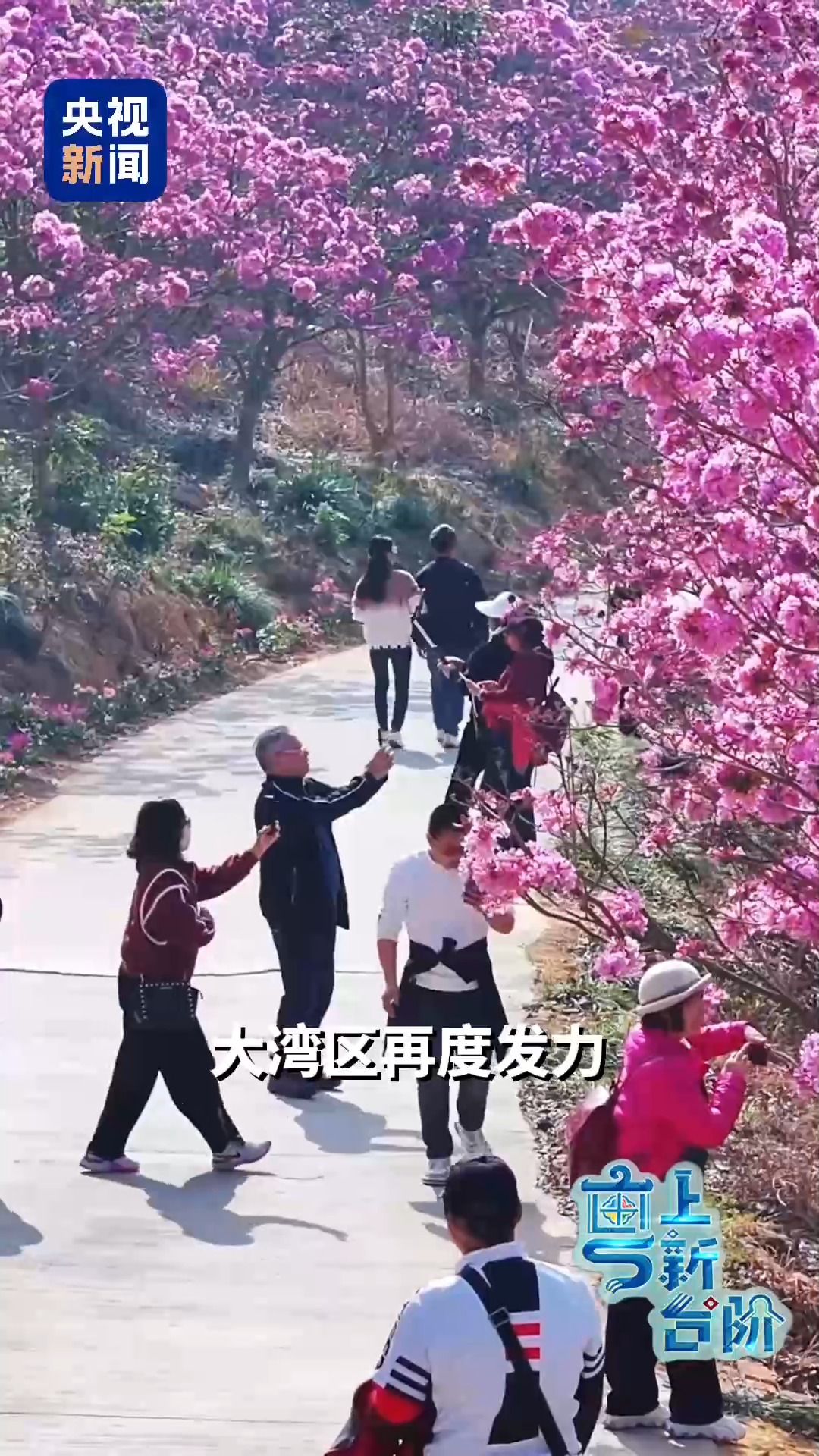 一趟由北向南開行的列車同時(shí)“驚動(dòng)”了京津冀和粵港澳大灣區(qū)兩大經(jīng)濟(jì)圈。