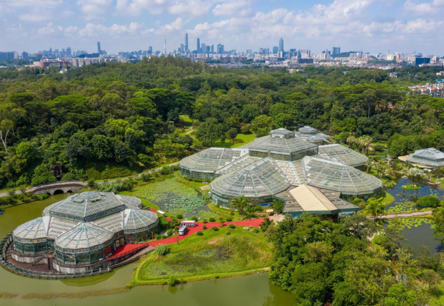 華南國(guó)家植物園作為珍稀瀕危植物的“諾亞方舟”，一直致力于植物遷地保育，核心功能區(qū)規(guī)劃總面積319公頃，是我國(guó)國(guó)家植物園體系的重要組成部分?！吨Z亞方舟》徐吳攝　　圖片來(lái)源：靈動(dòng)灣區(qū)——生物多樣性攝影展