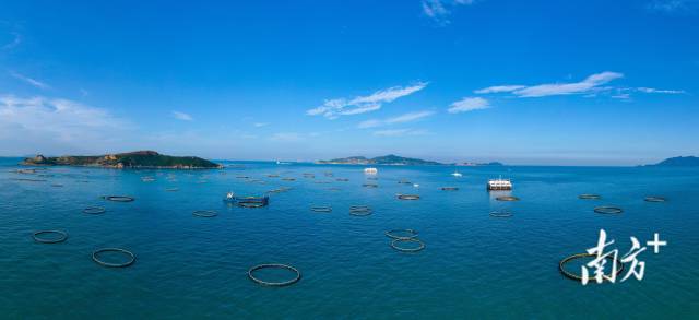萬山群島海洋牧場。