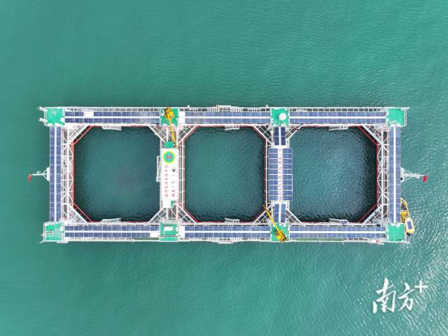 空中俯瞰“格盛一號”海洋牧場。