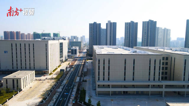 產業(yè)集群