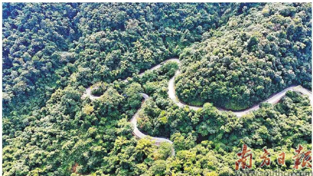 九曲十八彎的最美旅游公路南昆山路段。受訪單位供圖
